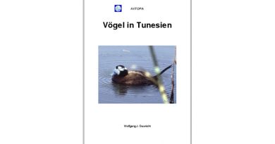 AVITOPIA - Vögel in Tunesien - von Wolfgang Daunicht (Nur als Kindle E-Book)