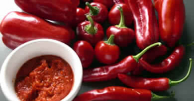 Von der Küche ins Kino: Harissa, die scharfe Sauce, bald als Dokumentarfilm